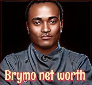 Brymo Net Worth
