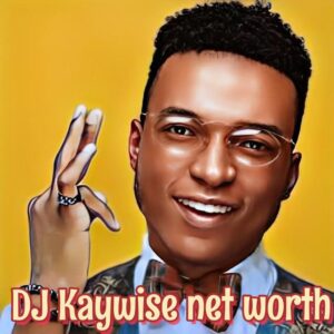 Dj Kaywise Net Worth