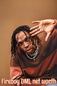 Fireboy Dml Net Worth