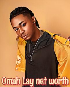 Omah Lay Net Worth