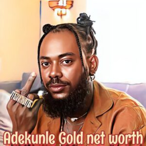 Adekunle Gold Net Worth