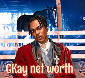 Ckay Net Worth