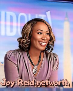 Joy Reid Net Worth