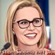Kyrsten Sinema Net Worth