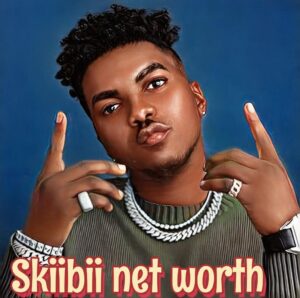 Skiibii Net Worth