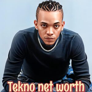 Tekno Net Worth