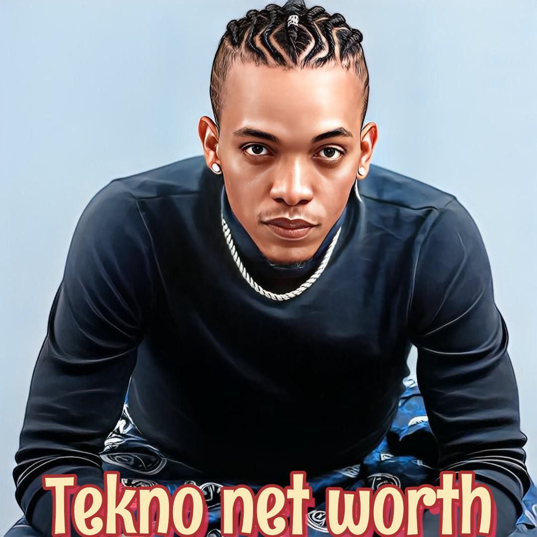 Tekno Net Worth