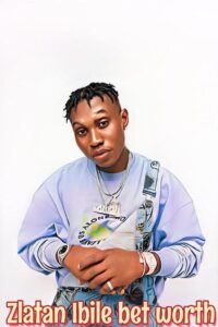 Zlatan Ibile Net Worth